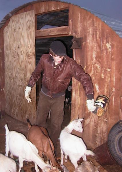 Ben feeding goats